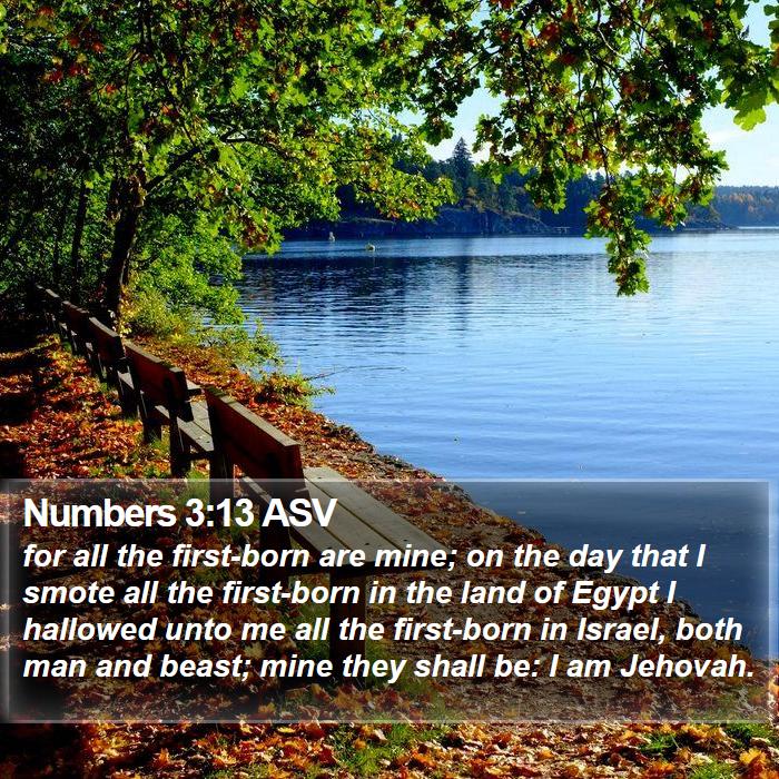 Numbers 3:13 ASV Bible Study