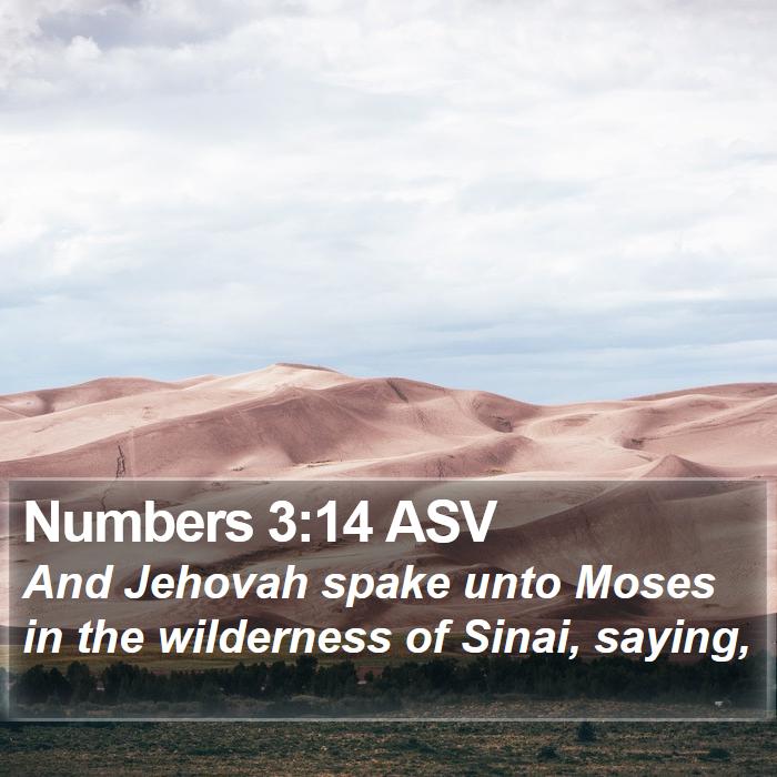 Numbers 3:14 ASV Bible Study