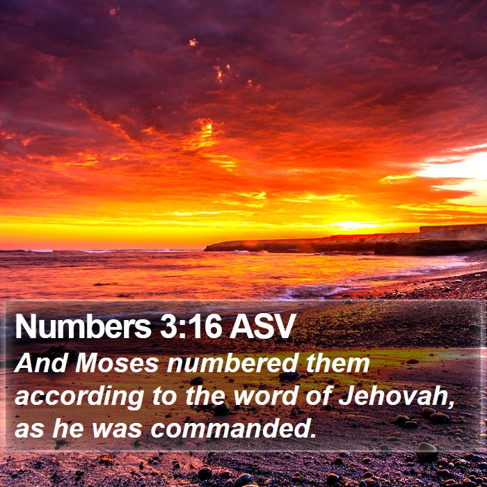 Numbers 3:16 ASV Bible Study