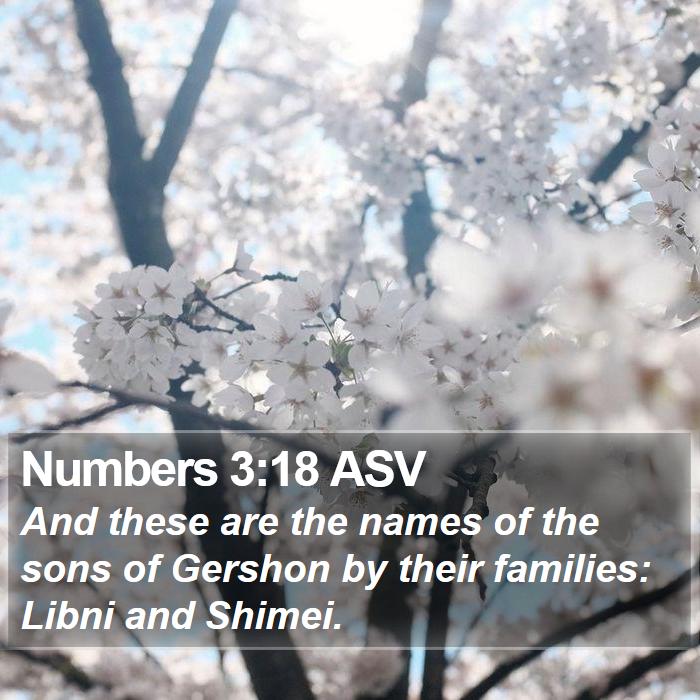 Numbers 3:18 ASV Bible Study