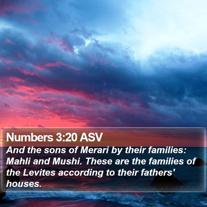 Numbers 3:20 ASV Bible Study