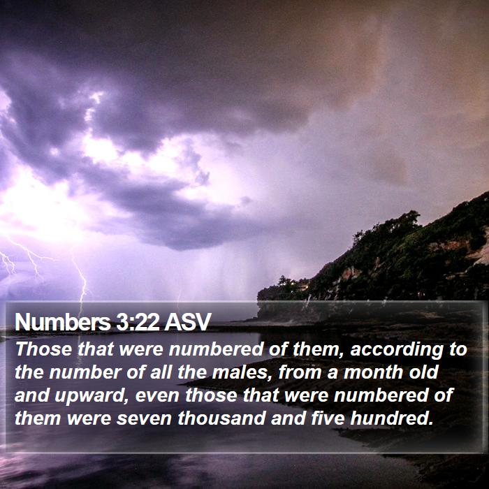 Numbers 3:22 ASV Bible Study