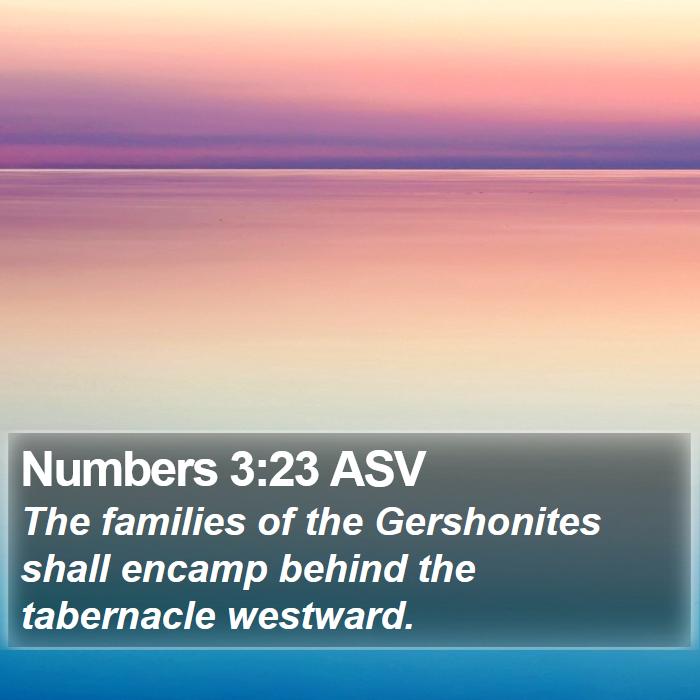 Numbers 3:23 ASV Bible Study