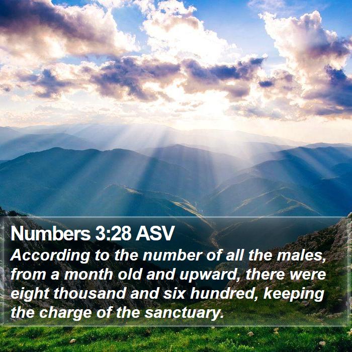 Numbers 3:28 ASV Bible Study