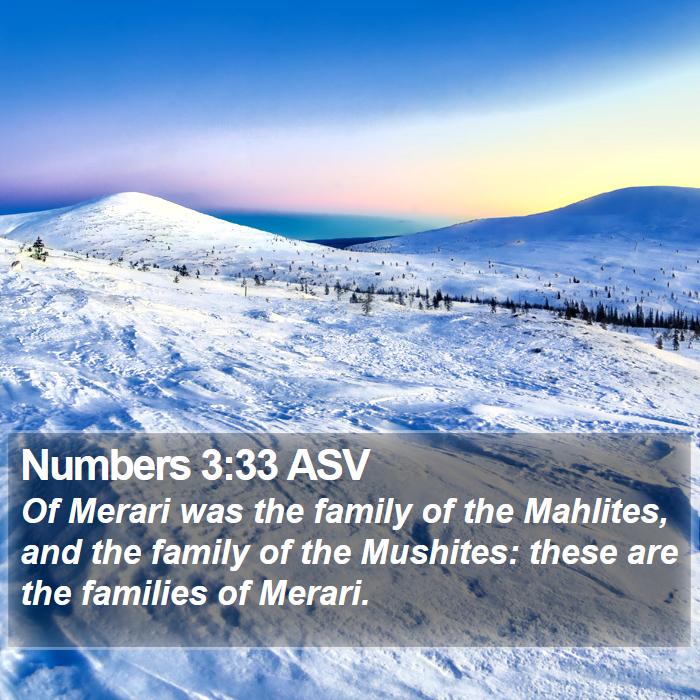 Numbers 3:33 ASV Bible Study