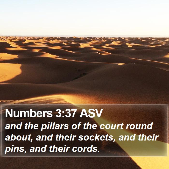 Numbers 3:37 ASV Bible Study