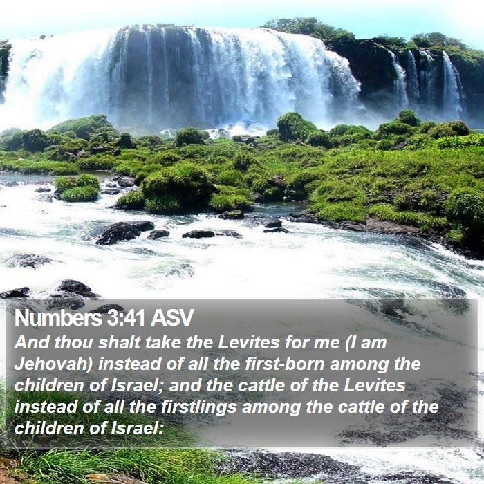 Numbers 3:41 ASV Bible Study