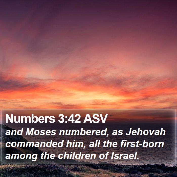 Numbers 3:42 ASV Bible Study