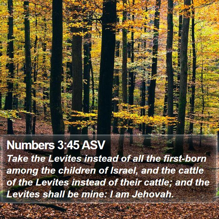 Numbers 3:45 ASV Bible Study