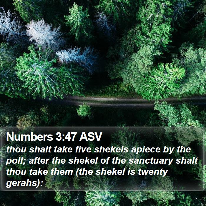 Numbers 3:47 ASV Bible Study