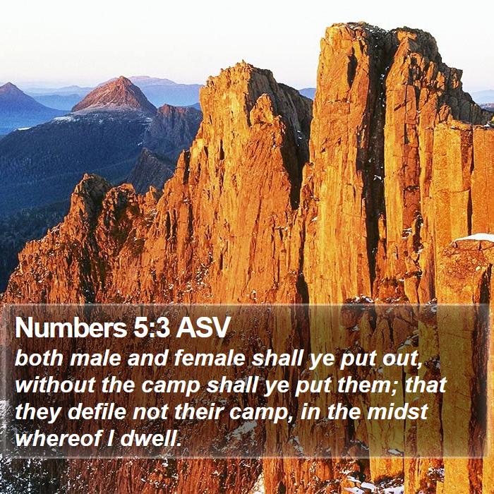 Numbers 5:3 ASV Bible Study