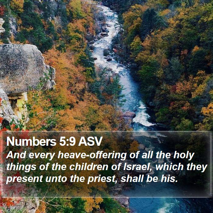 Numbers 5:9 ASV Bible Study