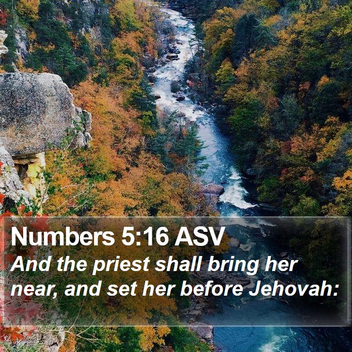 Numbers 5:16 ASV Bible Study