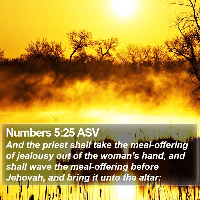 Numbers 5:25 ASV Bible Study