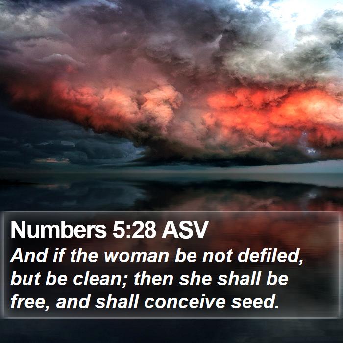 Numbers 5:28 ASV Bible Study