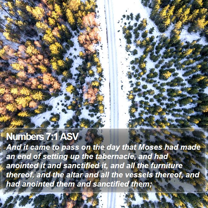 Numbers 7:1 ASV Bible Study