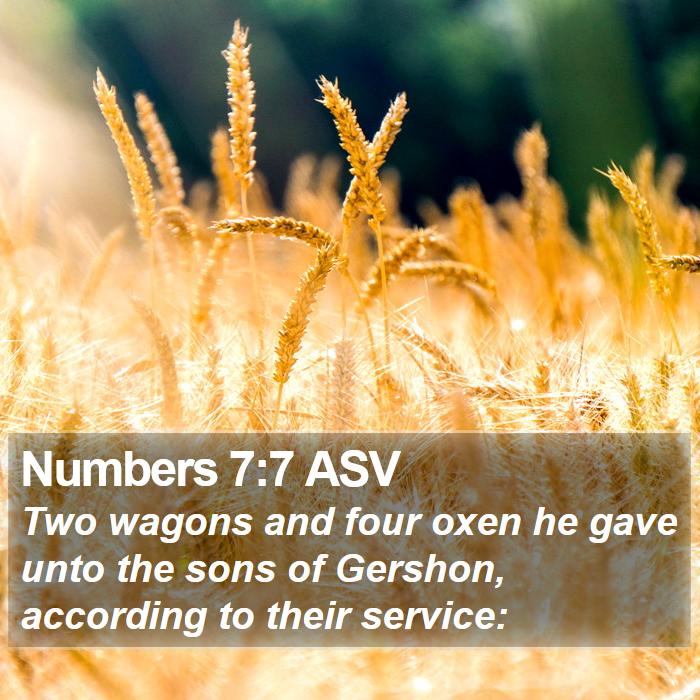 Numbers 7:7 ASV Bible Study