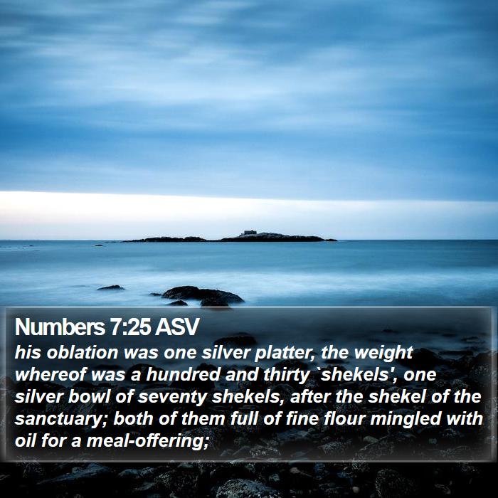 Numbers 7:25 ASV Bible Study