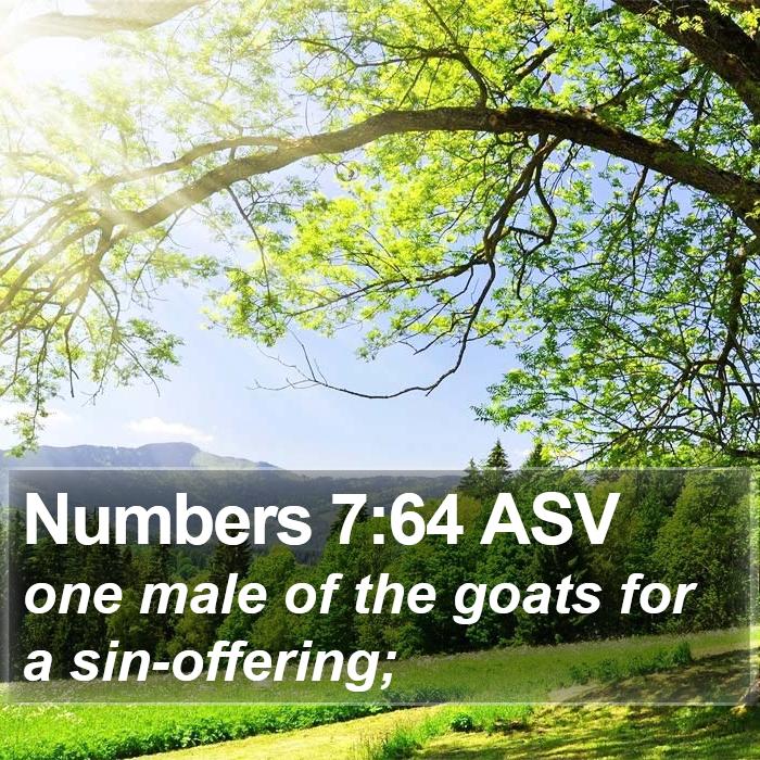 Numbers 7:64 ASV Bible Study