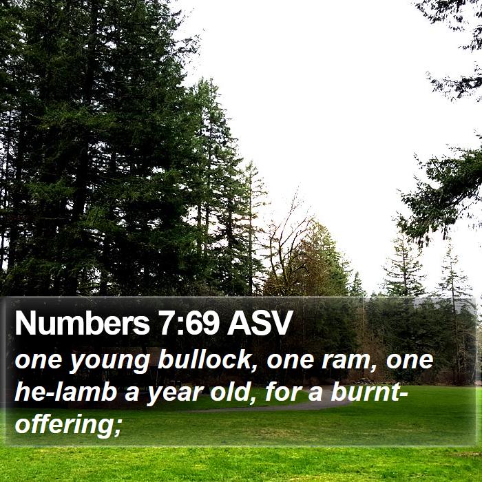 Numbers 7:69 ASV Bible Study