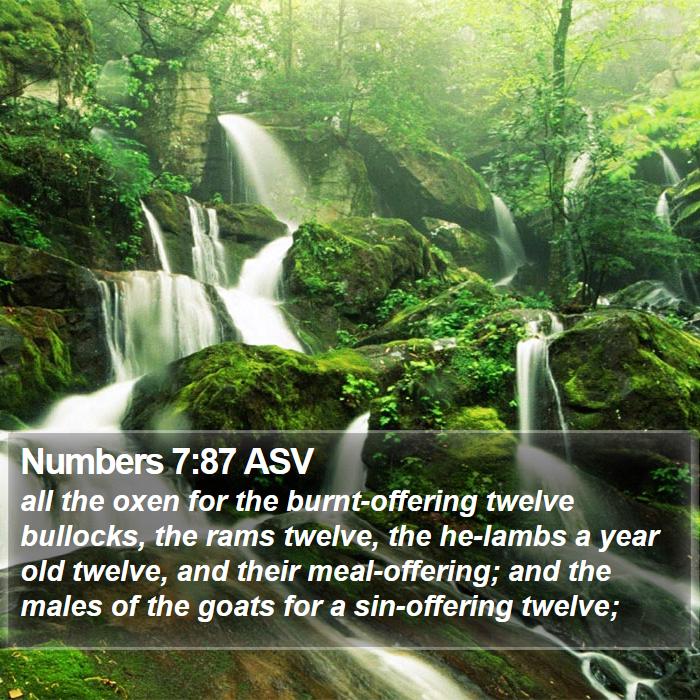 Numbers 7:87 ASV Bible Study