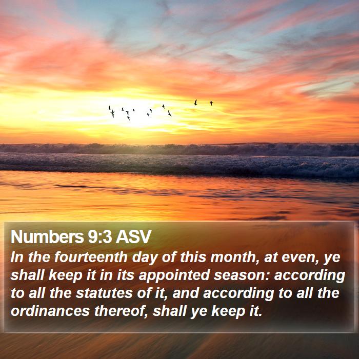 Numbers 9:3 ASV Bible Study