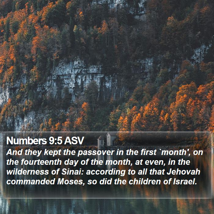 Numbers 9:5 ASV Bible Study