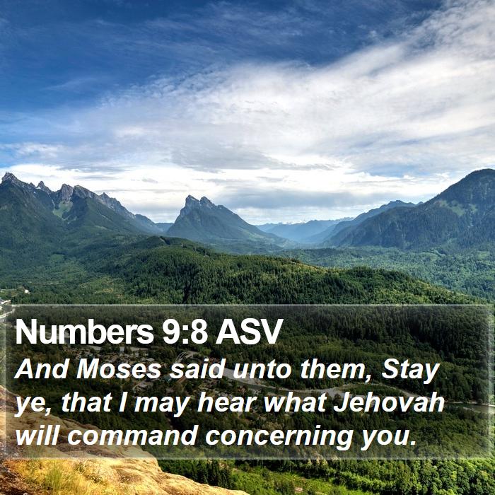 Numbers 9:8 ASV Bible Study