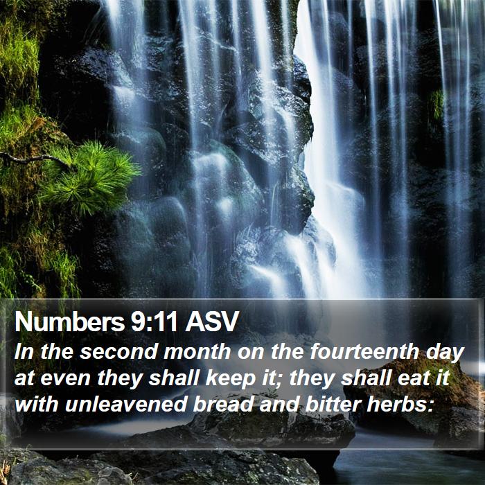 Numbers 9:11 ASV Bible Study