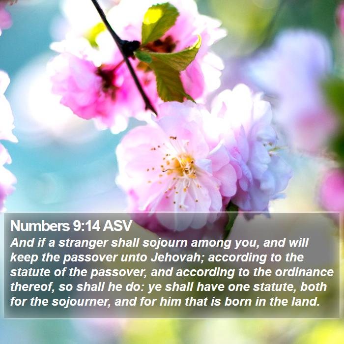 Numbers 9:14 ASV Bible Study