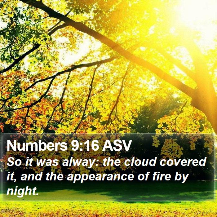 Numbers 9:16 ASV Bible Study