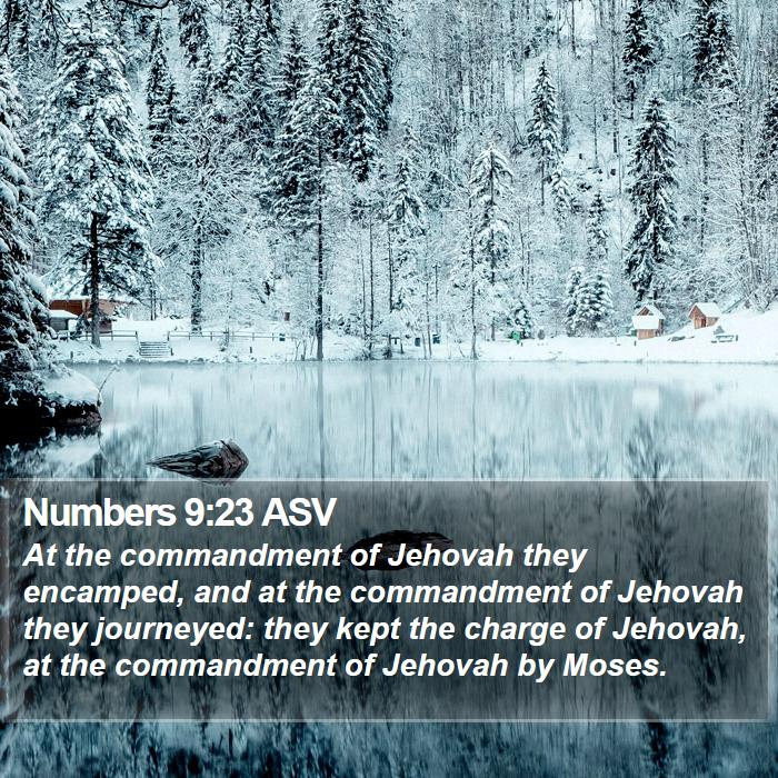 Numbers 9:23 ASV Bible Study