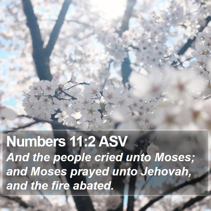 Numbers 11:2 ASV Bible Study