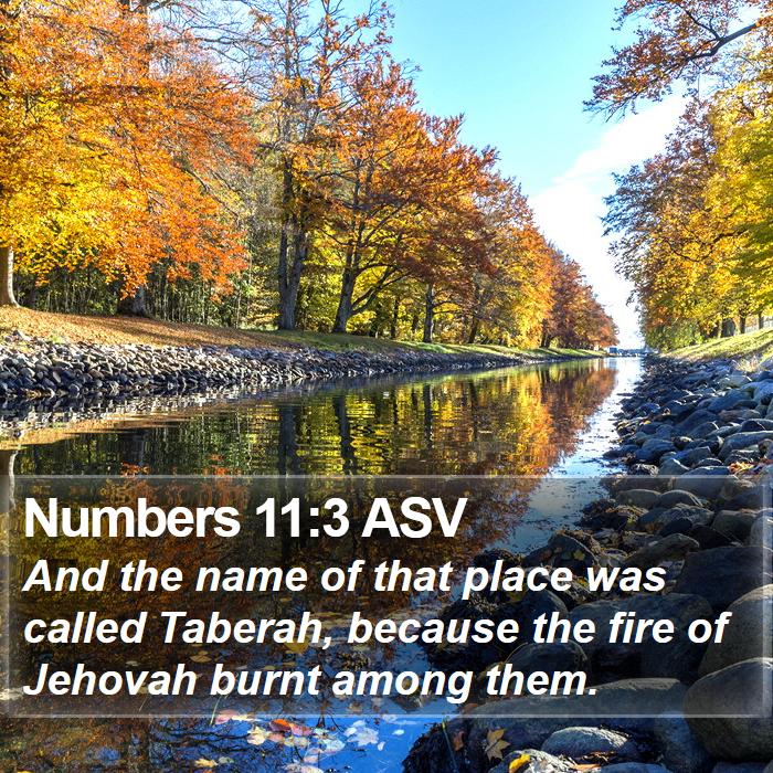 Numbers 11:3 ASV Bible Study