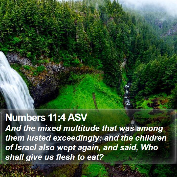 Numbers 11:4 ASV Bible Study