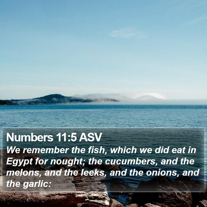 Numbers 11:5 ASV Bible Study