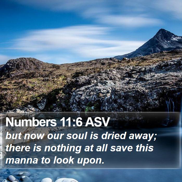 Numbers 11:6 ASV Bible Study