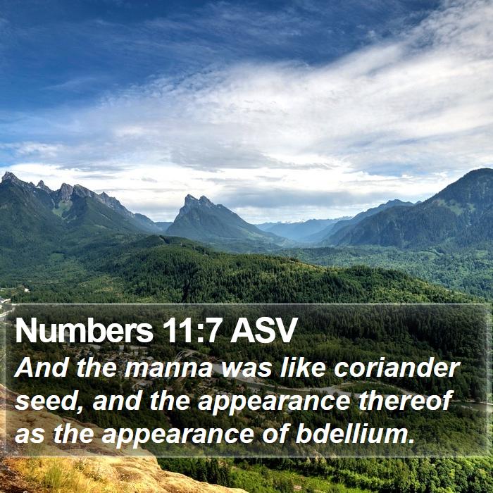 Numbers 11:7 ASV Bible Study