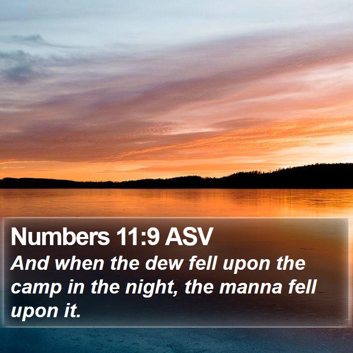 Numbers 11:9 ASV Bible Study