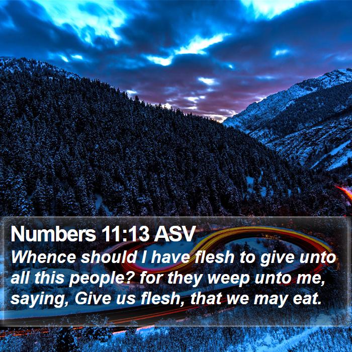 Numbers 11:13 ASV Bible Study