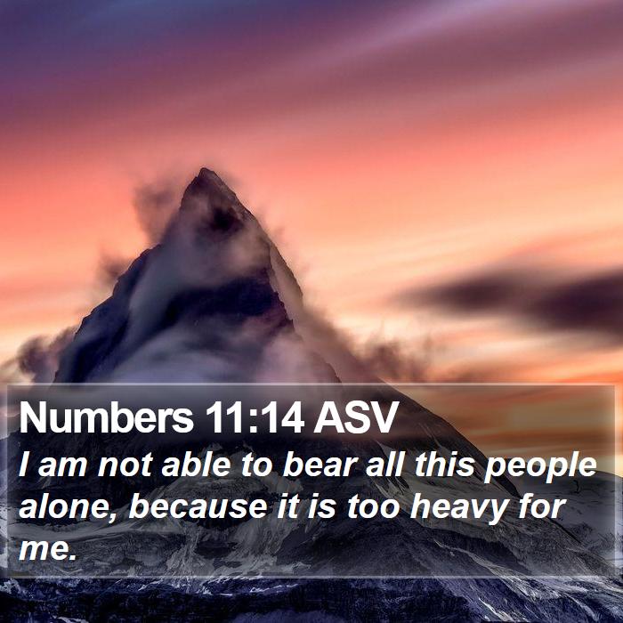 Numbers 11:14 ASV Bible Study