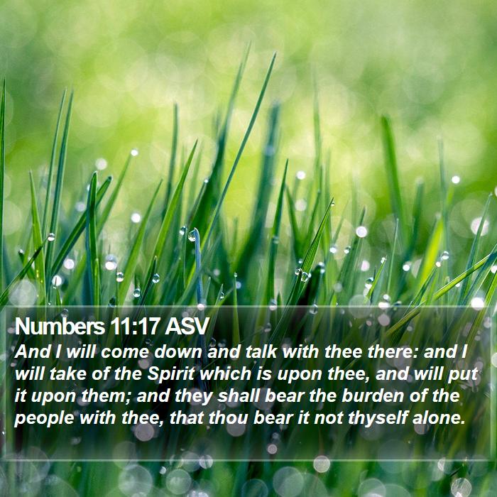 Numbers 11:17 ASV Bible Study