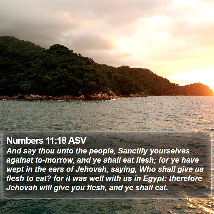 Numbers 11:18 ASV Bible Study