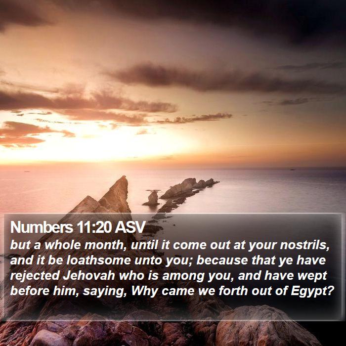 Numbers 11:20 ASV Bible Study