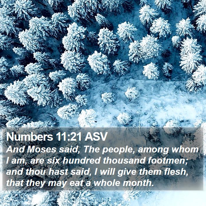 Numbers 11:21 ASV Bible Study