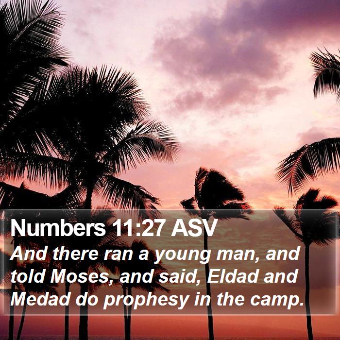 Numbers 11:27 ASV Bible Study