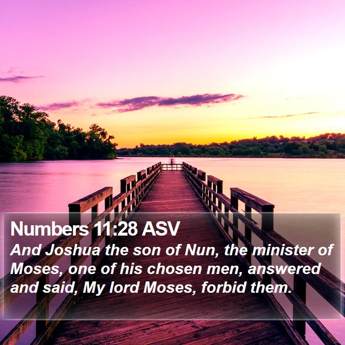 Numbers 11:28 ASV Bible Study