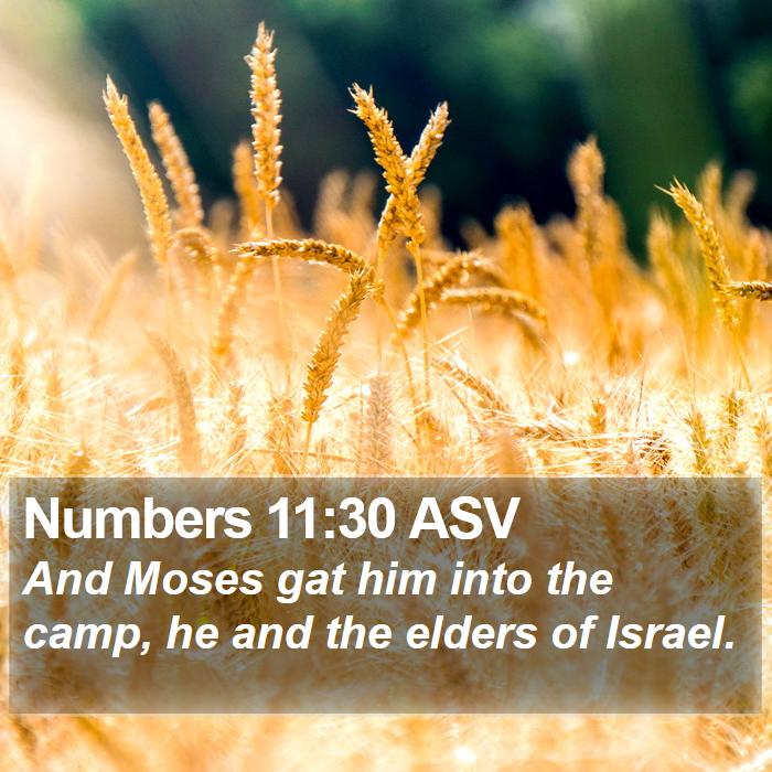 Numbers 11:30 ASV Bible Study