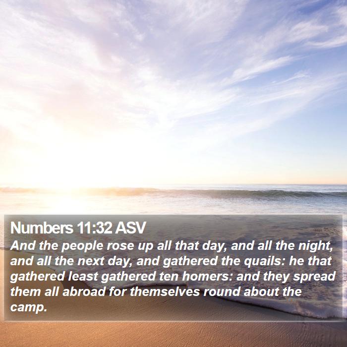 Numbers 11:32 ASV Bible Study