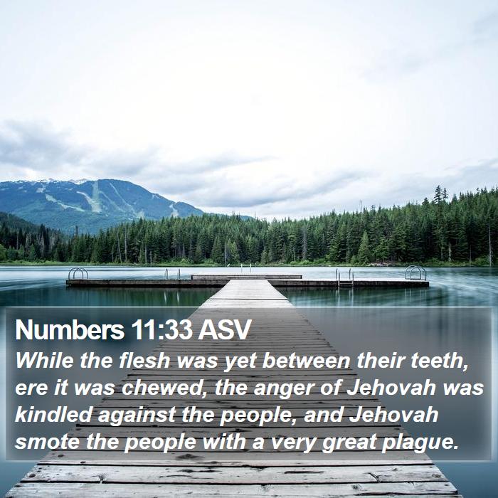 Numbers 11:33 ASV Bible Study